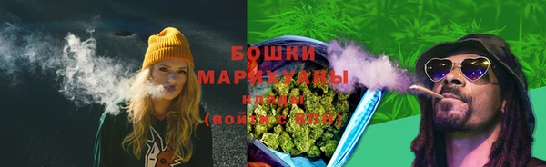 стаф Верея