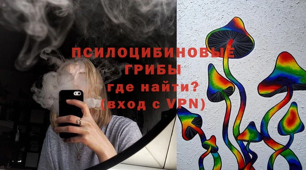 стаф Верея