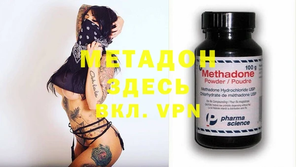 стаф Верея