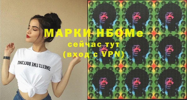 стаф Верея