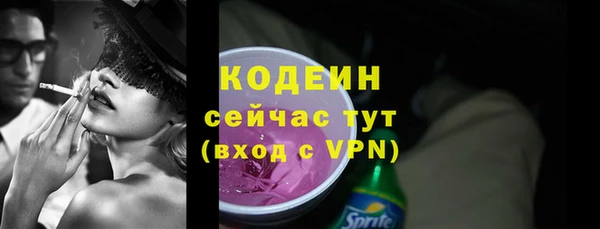 стаф Верея