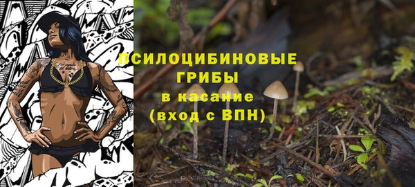стаф Верея