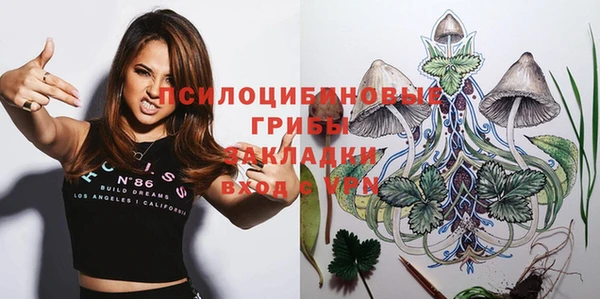 стаф Верея