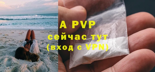 стаф Верея